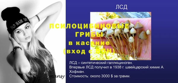 сатива Тобольск