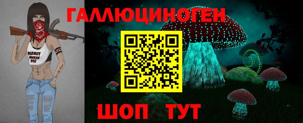 Феодосия  Галлюциногенные грибы Psilocybine cubensis  Вход с VPN 